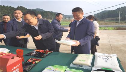 市委常委、政法委書記劉波濤帶隊(duì)調(diào)研指導(dǎo)定點(diǎn)幫扶村鄉(xiāng)村振興工作